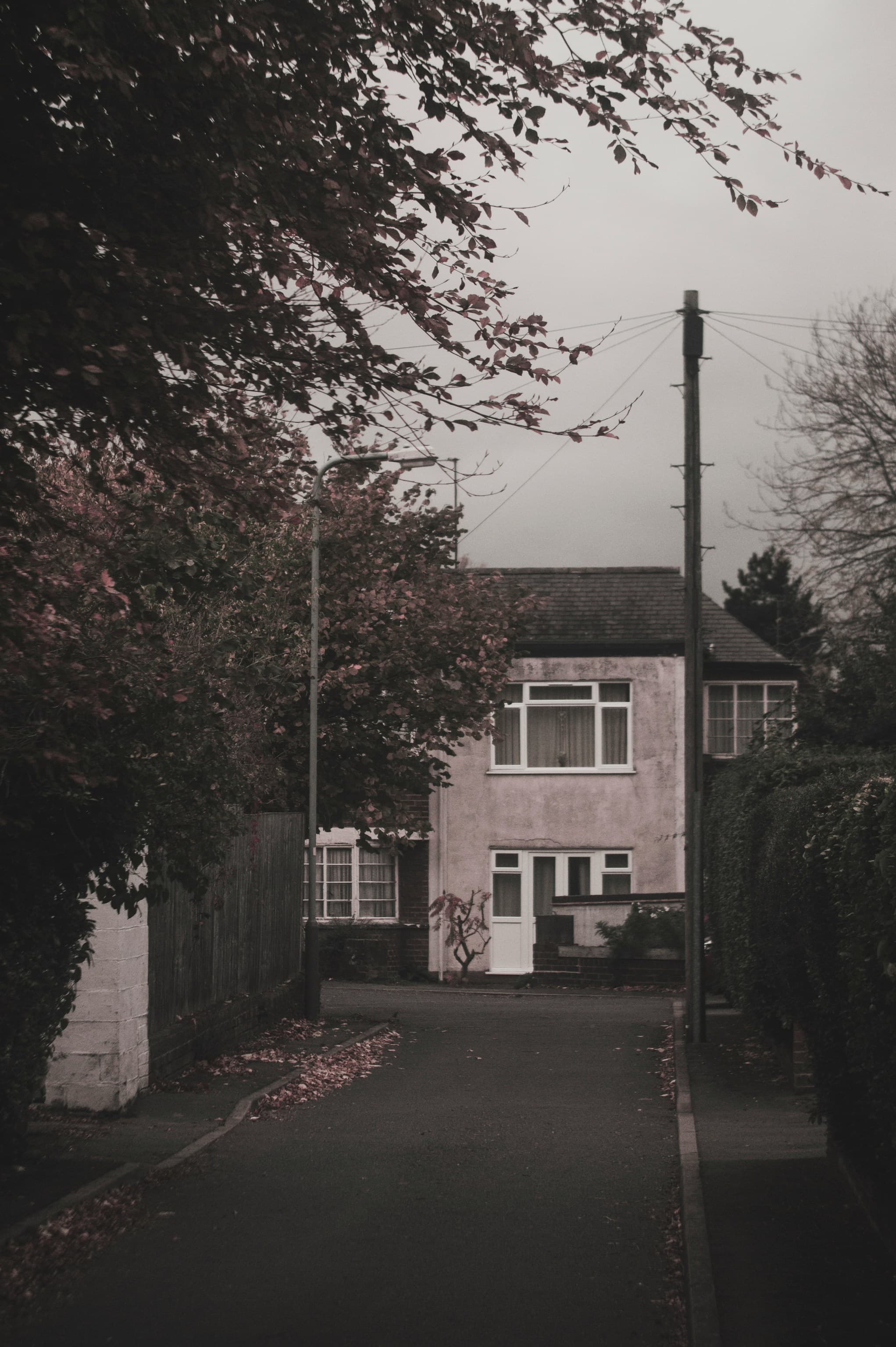 البيت في آخر الشارع