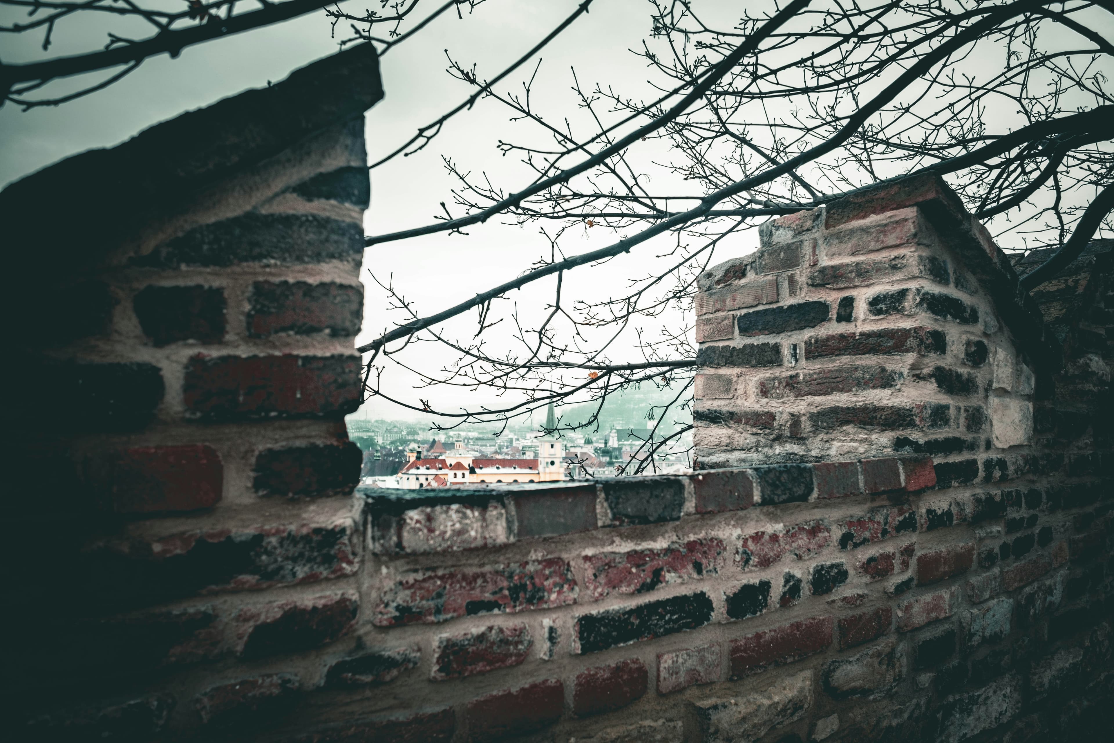 الهمسات في الجدار